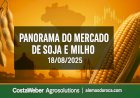 PANORAMA DO MERCADO DE SOJA E MILHO 18/08/2025