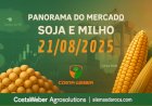 Panorama do Mercado de Soja e Milho em 21/08/2025