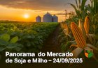 Panorama do Mercado de Soja e Milho em 24/09/2025  - Análise e Preços