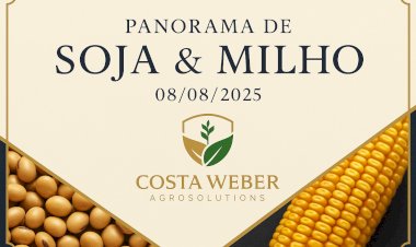PANORAMA DO MERCADO DE SOJA E MILHO 08/08/2025