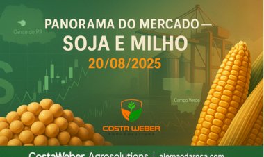PANORAMA DE MERCADO - SOJA E MILHO 20/08/2025
