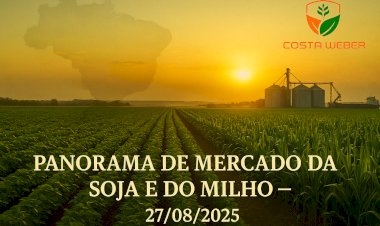 Panorama de Mercado da Soja e do Milho – 27/08/2025