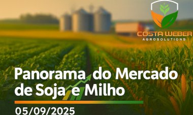 Panorama do Mercado de Soja e Milho – 05/09/2025