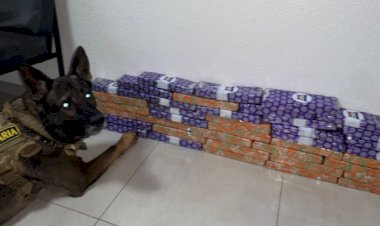 Mulher é presa com mais de  24 kg de maconha em ônibus na região