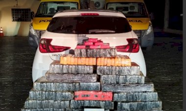 Forças de segurança apreendem mais de 940 quilos de maconha em operações no Oeste e Noroeste do Paraná