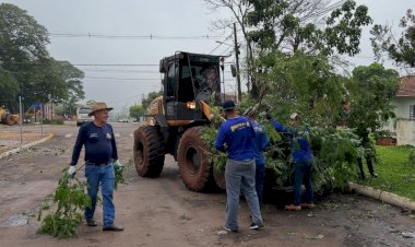 Após temporal, Prefeitura de Mercedes intensifica limpeza e remoção de árvores