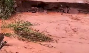 Chuvas elevam acumulados e já superam 300 mm na microrregião de Marechal Cândido Rondon