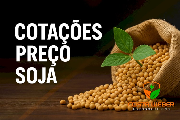 Cotação Preço de SOJA em 25.07.2025