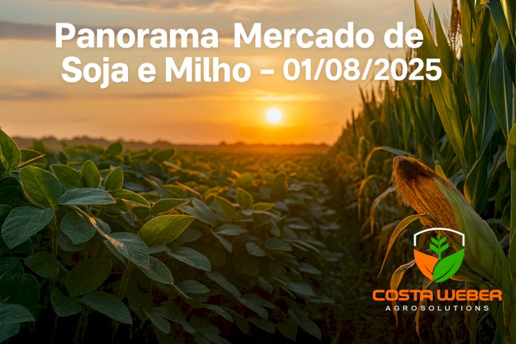 Panorama Mercado de Soja e Milho – 01/08/2025