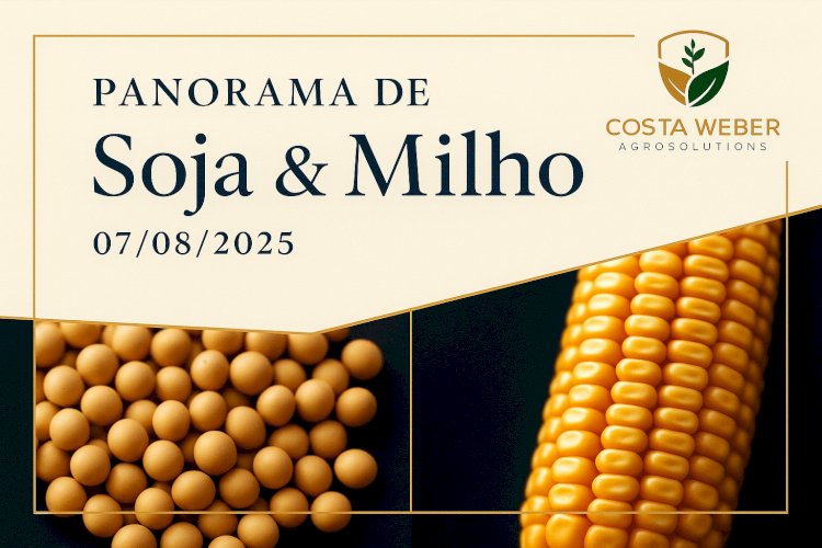 PANORAMA DE MERCADO DE SOJA E MILHO 07/08/2025