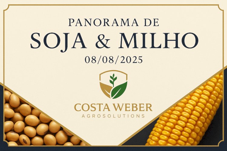 PANORAMA DO MERCADO DE SOJA E MILHO 08/08/2025