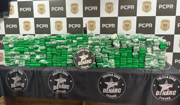 Denarc causou prejuízo de mais de R$ 90 milhões ao tráfico no primeiro semestre de 2025