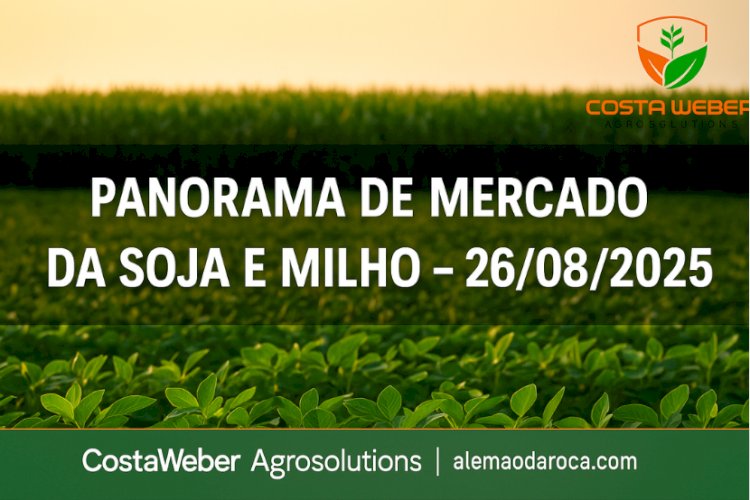 Panorama do Mercado da Soja e do Milho – 26/08/2025