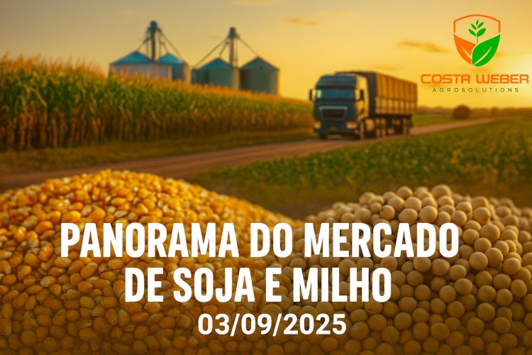 Panorama do Mercado de Soja e Milho – 03/09/2025