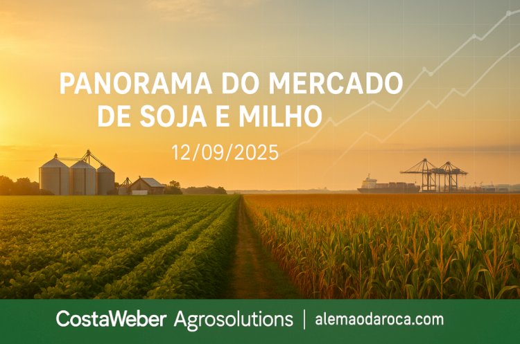 Panorama do Mercado de Soja e Milho  12/09/2025