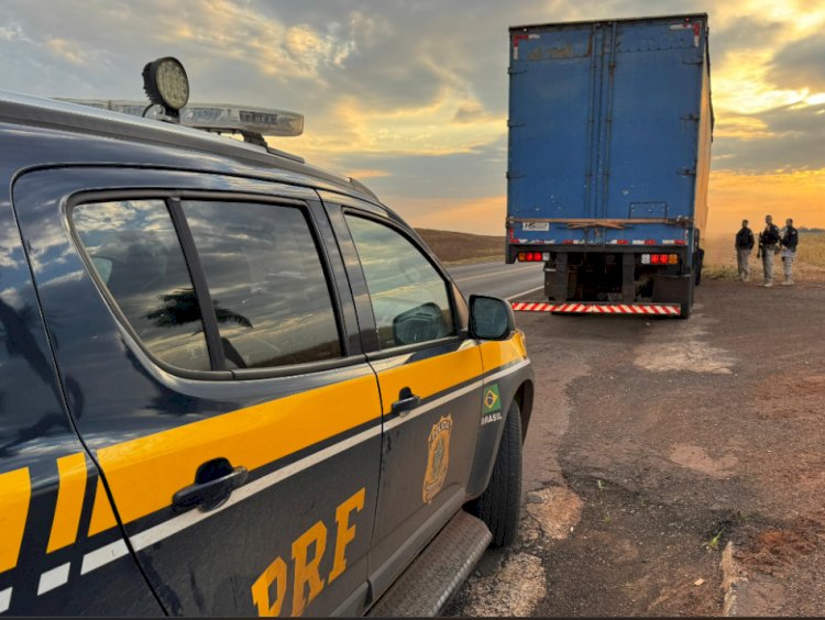 PRF apreende quase 3 toneladas de maconha escondidas em carga de papelão