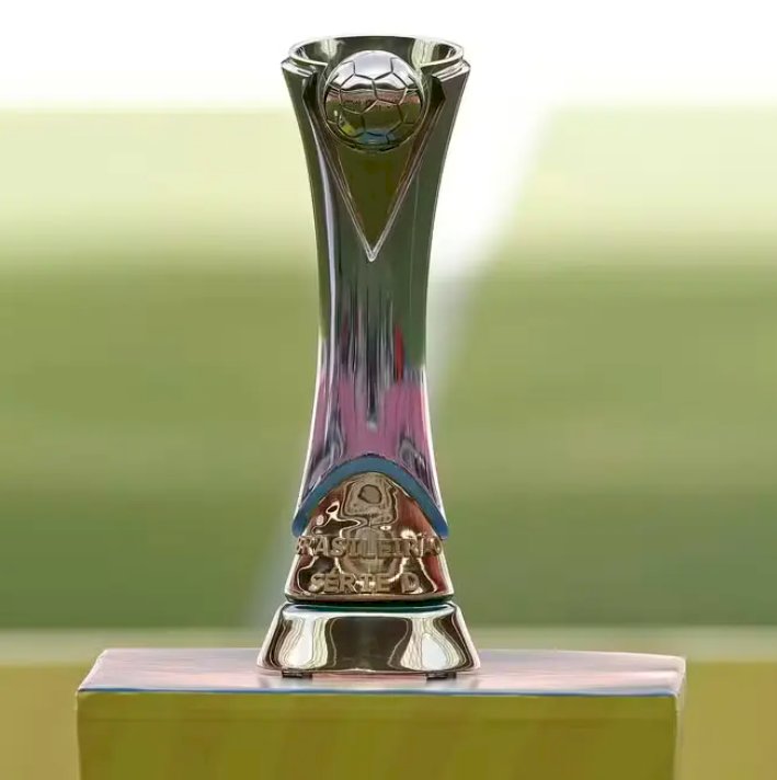 Santa Cruz e Barra-SC vão disputar título da Série D