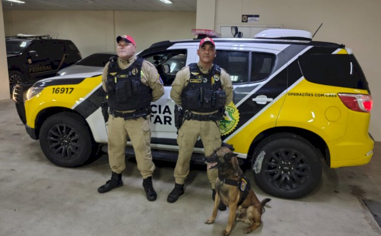 Polícia Militar apreende mais de 11 toneladas de drogas na BR-277