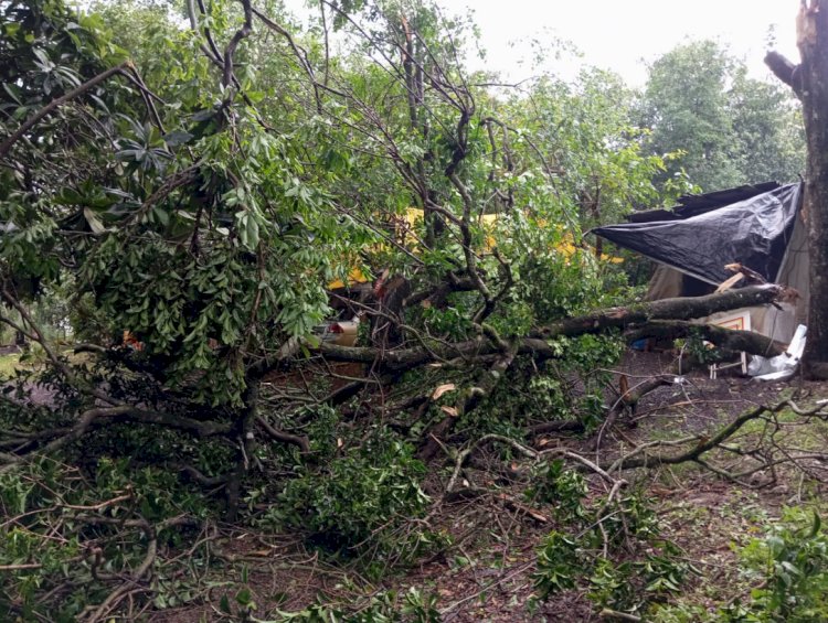 TEMPORAL PROVOCA ESTRAGOS E DEIXA CIDADES DO OESTE DO PARANÁ SEM ENERGIA ELÉTRICA