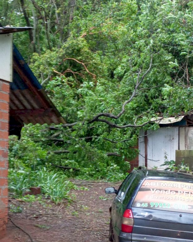 TEMPORAL PROVOCA ESTRAGOS E DEIXA CIDADES DO OESTE DO PARANÁ SEM ENERGIA ELÉTRICA