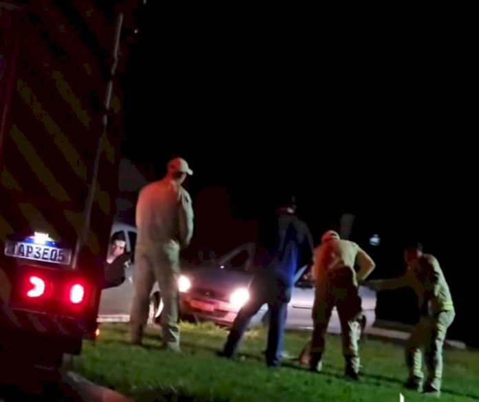 Corpo de Bombeiros captura jacaré  na no trevo de acesso a cidade de Altônia (PR)