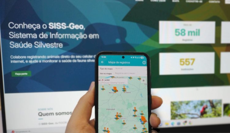 Paraná reforça vigilância da febre amarela com tecnologia pioneira de monitoramento georreferenciado