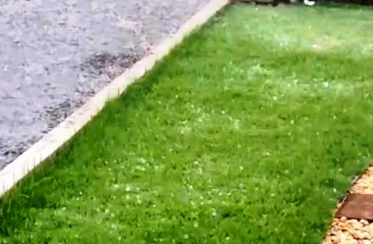 Confirmado a previsão: chuva com até 55mm no interior de Marechal Rondon