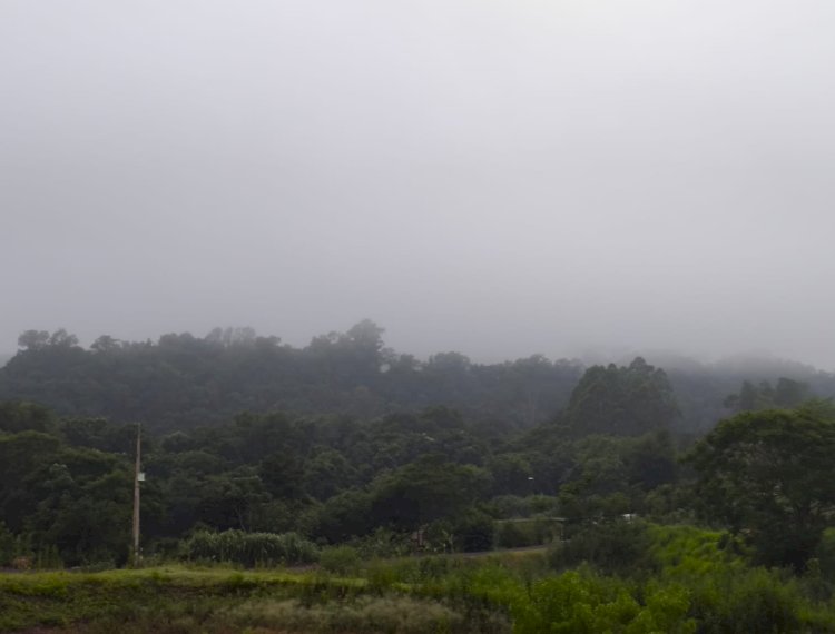 Previsão do Tempo: iniciou com temperaturas a menos  e neblina  na microrregião de  Marechal Cândido Rondon