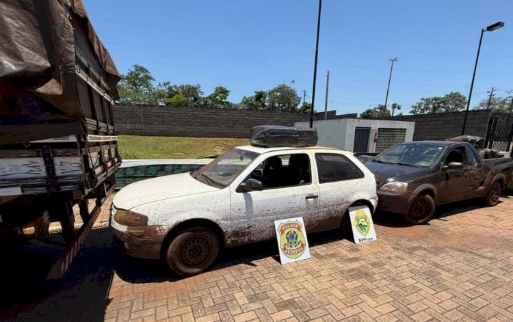 BPFRON e PF apreendem 5 mil pacotes de cigarros contrabandeados em Porto Mendes