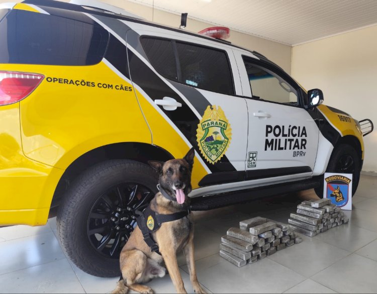Operação Protetor: PMPR apreende quase 30 kg de maconha e prende dois homens na PR-323, em Iporã