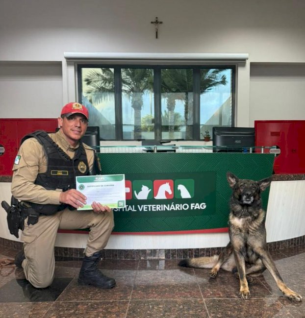 K9 Colt, da Polícia Rodoviária, doa sangue ao Hospital Veterinário da FAG