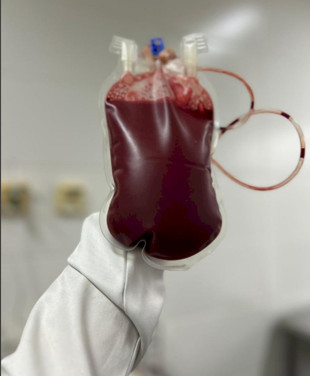 K9 Colt, da Polícia Rodoviária, doa sangue ao Hospital Veterinário da FAG