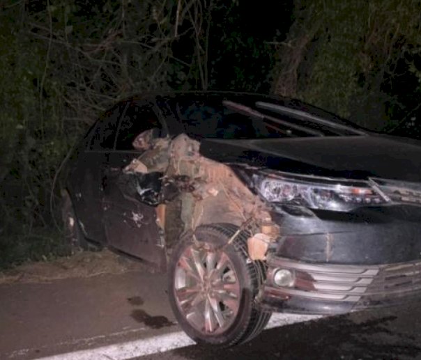 Acidente na BR-163 mobiliza ambulância do município de Mercedes